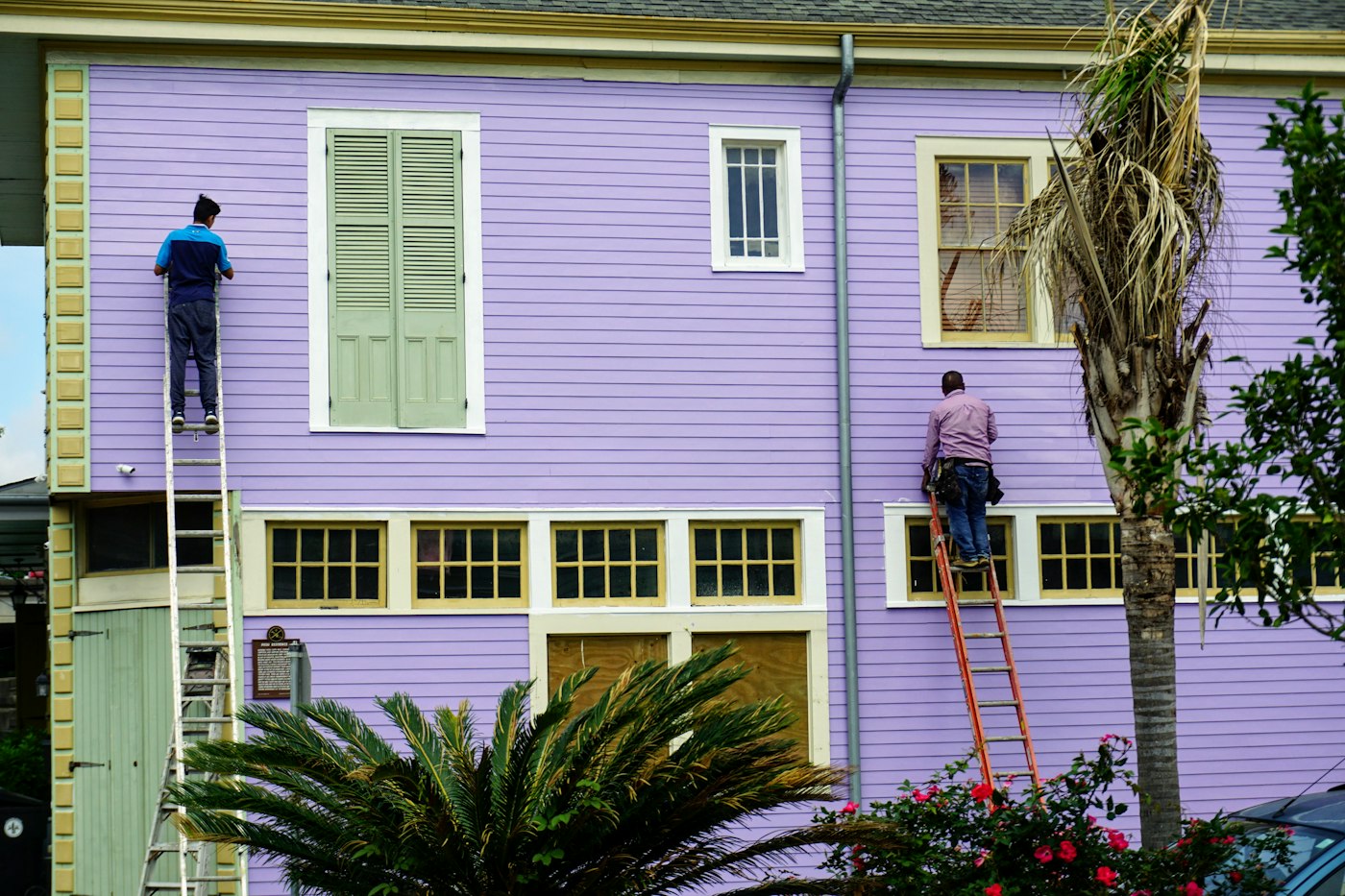 Two painters on ladders painting the exterior of a house